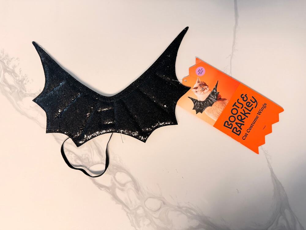 Boots & Barkley Black Bat Wings Cat Costume Halloween Pet Accessory One Size